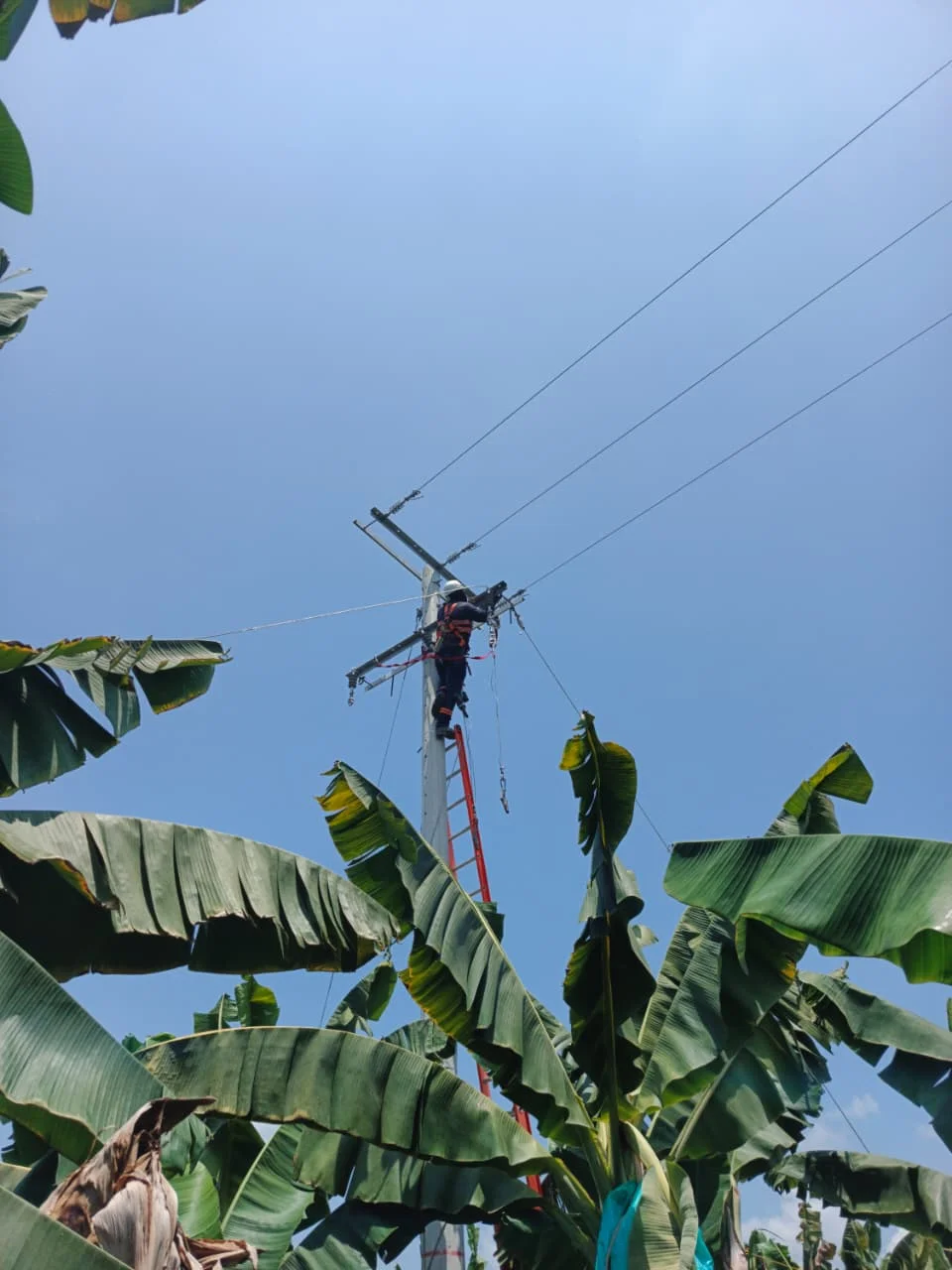 Técnico de SIEEC S.A.S. instalando redes eléctricas de área en Santa Marta usando EPP y cumpliendo normativa RETIE